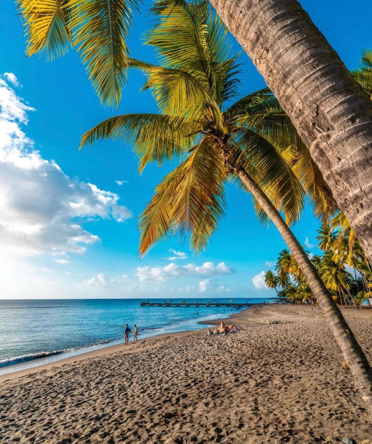 Bas De Villa Vacances Ocean Ле-Карбе Экстерьер фото